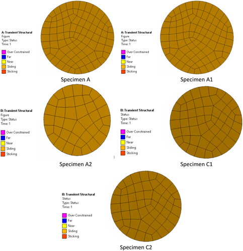 Figure 7. Contact status of the specimen.