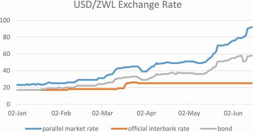 Figure 3. Market exchange rate (USD/ZWL)