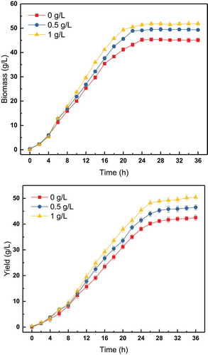 Figure 3 Effect of choline chloride on tryptophan fermentation