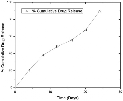 Figure 6. Cumulative drug release of tacrolimus-loaded polymeric stent.