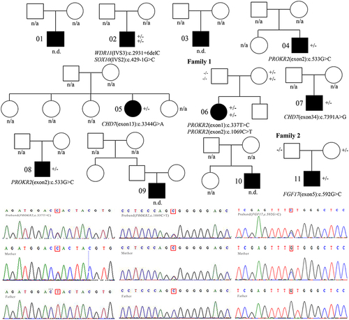 Figure 1 Pedigree chart and genetic variants identified in patients affected with IHH.