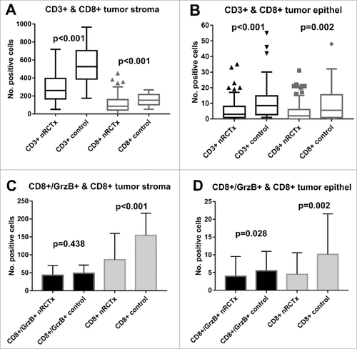 Figure 2. Boxplots of CD3+/CD8+ in tumor stroma (A) and in tumor epithel (B); Data distribution of CD8+/GrzB+ and CD8+ cells in tumor stroma (C) and tumor epithel (D). CD: cluster of differentiation; GrzB: granzyme B.