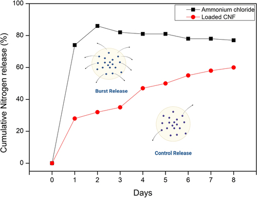 Figure 10. Release behavior of Ammonia from loaded CNF (1:1) and control (ammonium chloride solution)