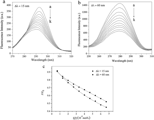 Figure 6. Synchronous fluorescence spectra of trypsin with different concentrations of acteoside, (a) Δλ = 15 nm, (b) Δλ = 60 nm, pH = 8.0, c(trypsin) = 2.50 × 10–7 mol L−1, c(acteoside) (a–k): 0, 0.67, 1.33, 2.00, 2.67, 3.33, 4.00, 4.67, 5.33, 6.00, 6.67 (×10–6 mol L−1); (c) Quenching of trypsin synchronous fluorescence by acteoside, pH = 8.0, c(trypsin) = 2.50 × 10–7 mol L−1, x-axis represents the concentration of acteoside.