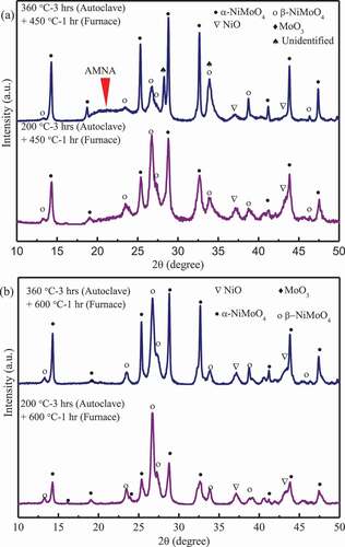 Figure 5. XRD patterns for NiO-MoO3 powders immersed at 200 °C and 360 °C for 3 h (in autoclave), and then annealed at 450 °C and 600 °C for 1 h (in furnace).