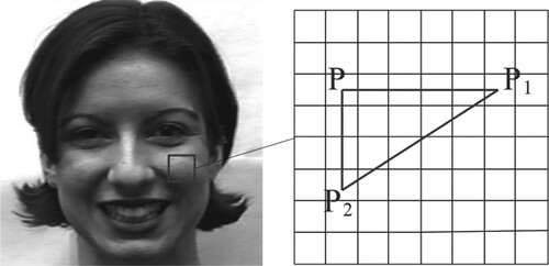 Figure 1. Triangle selection diagram of gray image