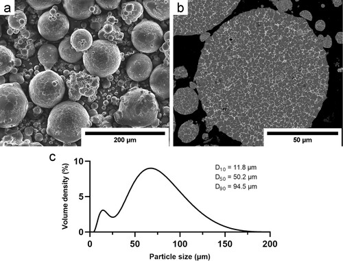 Figure 1. (a) Secondary electron micrograph of A20X powder blend and (b) backscattered electron micrograph of ground and polished A20X powder, bottom: PSD of A20X powder blend.