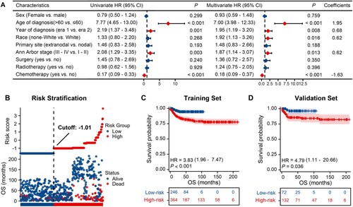 Figure 2. Analysis of independent prognostic factors, risk scoring, and risk stratification for OS. (A) Univariate and multivariate Cox regression models for OS in the training set; (B) Distribution of risk scores and survival status of patients in the training set; (C) OS curves for low- and high-risk groups in the training set; (D) OS curves for low- and high-risk groups in the validation set. Abbreviations: HR, hazard ratio; OS, overall survival.