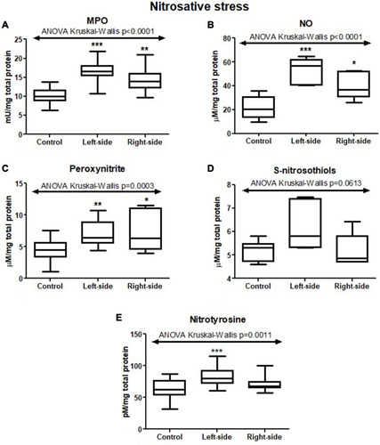 Figure 8 Nitrosative stress parameters (MPO (A), NO (B), peroxynitrite (C), S-nitrosothiols (D), nitrotyrosine (E)) in tumours located in the left-side and right-side of the colon and normal mucosa. The data are presented as median (minimum - maximum). * p < 0.05, ** p < 0.01, *** p < 0.001.