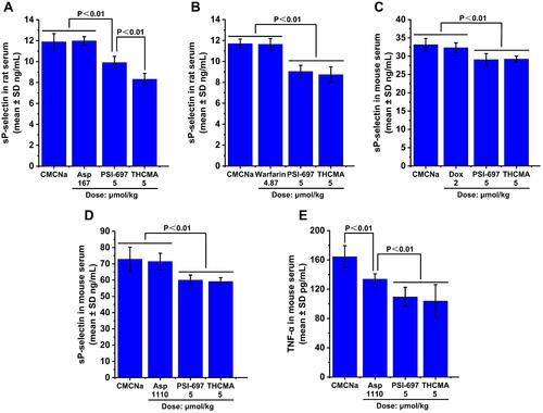 Figure 8 Expression levels of sP-selectin and TNFα in vivo (n=8). (A) sP-selectin expression in arterial thrombosis rats; (B) sP-selectin expression in venous thrombosis rats; (C) sP-selectin expression in S180 mice; (D) sP-selectin expression in ear-edema mice; (E) TNFα expression in ear-edema mice.