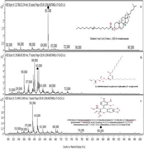 Figure 14. LC-MS spectrum and compound validation from n-butanol fraction of Nigella sativa.