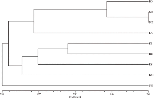 FIGURE 4. UPGMA (unweighted pair-group method with arithmetic averages) dendrogram estimating the genetic distance among nine raspberry cultivars based on coancestry coefficient matrix.