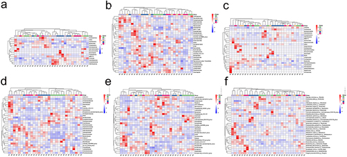 Figure 11 The effect of NC-CS/PT-NPs on intestinal microbiome composition of mice induced by HFD by clustering heat map. (a) Phylum. (b) Class. (c) Order. (d) Family. (e) Genus. (f) Species.
