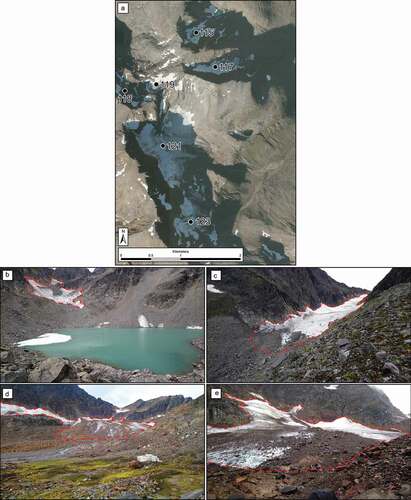 Figure 2. (A) 2016 Aerial orthophotographs (NORGEiBILDER Citation2019) of the Rotsund Valley field site. Photographs of the four glaciers visited in the field: (B) 115, (C) 117, (D) 121, and (E) 123. The dashed red line denotes the glacier extent in 2018