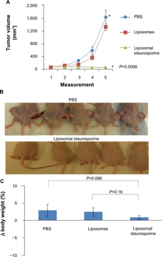 Figure 6 Liposomal staurosporine completely inhibited the growth of established 40–50 mm3 U87 flank tumors with no evidence of toxicity. PBS (♦), liposomes (■), liposomal staurosporine (▲). The x-axis represents measurements on successive days after tumor implantation (n=5; parametric P<0.0006 shown in figure; nonparametric P=0.00044). * indicates PBS versus liposomal staurosporine. (B) Photographs of nude mice implanted subcutaneously in both flanks with U87 cells and treated. (C) Body weights for mice treated with PBS, empty liposomes, or liposomal staurosporine. Unpaired, parametric and nonparametric comparisons indicated no significant difference between weights taken before versus after treatment (PBS versus liposomal staurosporine parametric P=0.096; empty liposomes versus liposomal staurosporine, parametric P=0.16).Abbreviation: PBS, phosphate-buffered saline.