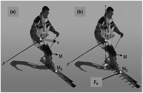 Figure 3. Influence of leaning forward and backward on the torque (Kassat, Citation2000).