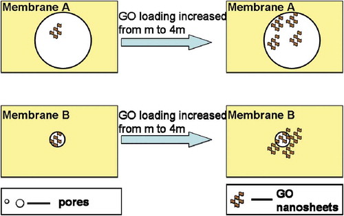 Figure 2. The effect of GO loading on the surface pores of the hybrid membranes.