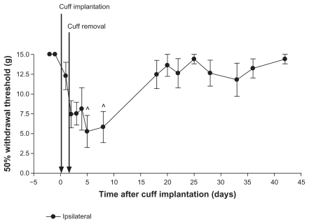 Figure 2 One day cuff implantation. Rats (n = 6) were implanted with a cuff on day 0, and the cuff was removed on day 1. Paw withdrawal thresholds were measured using von Frey filament stimulation. There was a significant decrease in withdrawal thresholds on days 5 and 8 compared to pre-induction baseline values (^P < 0.01 compared to days–2 or –1). All subsequent values were not significantly different from pre-induction baselines.