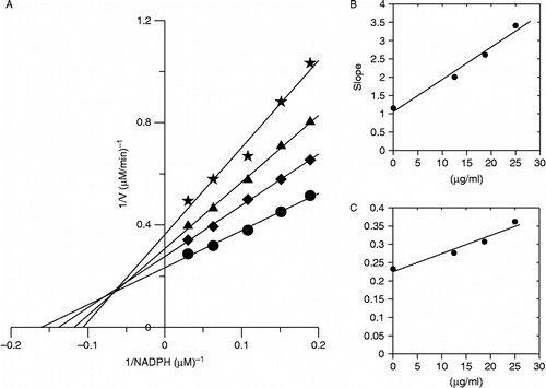 Figure 6.  Inhibitory kinetics of the extract on the activity of FAS against NADPH. The final concentrations of the inhibitor in the systems were: (•) 0 μg/mL; (♦) 12.5 μg/mL; (▴) 18.75 μg/mL; (*) 25 μg/mL. Different concentrations of NADPH were 0.03, 0.06, 0.1, 0.15 and 0.18 μmol/L, respectively. The final concentrations of acetyl-CoA and malonyl-CoA were 5 μmol/L and 10 μmol/L, respectively.