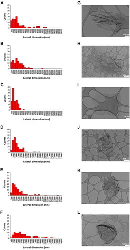 Figure 2. Lateral dimension distribution of reduced graphene oxides (rGOs). size distributions were calculated from the dimensional analysis of transmission electron microscope (TEM) images (A–F) through the ImageJ software. Pictures show representative TEM images (G–L) of rGO1 (A,G), rGO2 (B,H), rGO3 (C,I), rGO4 (D,J), rGO5 (E,K) and rGO6 (F,L). scale bar: 500 nm (H,J,L); 200 nm (K); 100 nm (G,I).