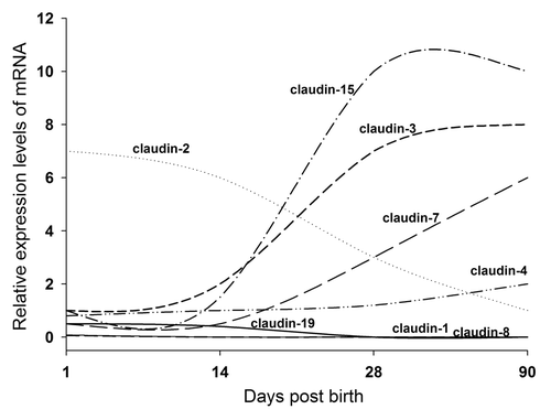 Figure 1. Claudin profiling during postnal intestinal development in mice (adapted from Holmes et al., 2006).