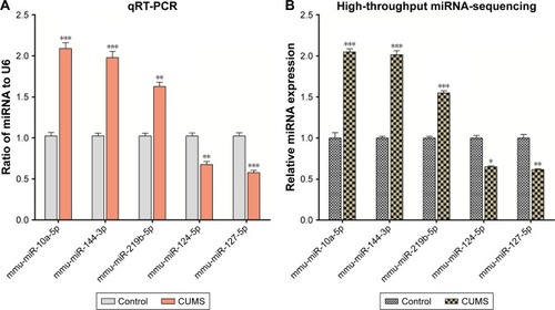 Figure 2 The validation of differentially expressed miRNAs in the NAc from mice with CUMS-induced depression-like behaviors and controls. Three upregulated miRNAs and two downregulated miRNAs were involved in different cellular functions and were selected for qRT-PCR analysis. (A) qRT-PCR was used to analyze the relative values of mmu-miR-10a-5p, mmu-miR-144-3p, mmu-miR-219b-5p, mmu-miR-124-5p, and mmu-miR-127-5p from mice with CUMS-induced depression-like behaviors and controls (n=12 per group), in which the samples were used from those tissues for high-throughput sequencing. (B) The relative level of mmu-miR-10a-5p, mmu-miR-144-3p, mmu-miR-219b-5p, mmu-miR-124-5p, and mmu-miR-127-5p from mice with CUMS-induced depression-like behaviors (n=4) and controls (n=4), which were analyzed by high-throughput miRNA sequencing. U6 was set as the internal control. The relative values for control mice were normalized to be 1. The data are expressed as mean ± SEM. *P<0.1, **P<0.01, ***P<0.001.