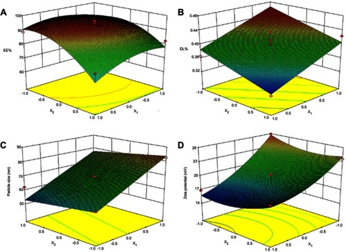 Figure 3 3D surface map of the responses from the central composite design calculations. (A) The effects of X1 and X2 on EE%. (B) The effects of X1 and X2 on DL%. (C) The effects of X1 and X2 on particle size. (D) The effects of X1 and X2 on zeta potential.Abbreviations: X1, oil/mixed-surfactant ratio; X2, proportion of the aqueous phase; EE, encapsulation efficiency (%); DL, drug loading (%)