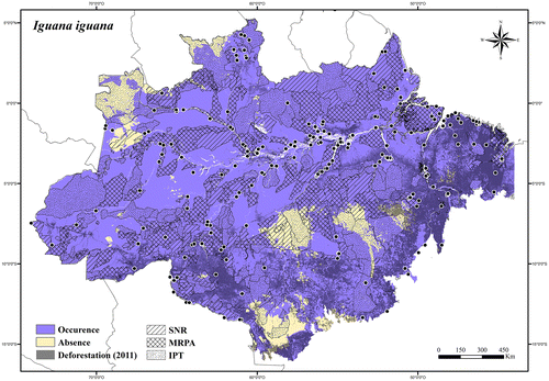 Figure 70. Occurrence area and records of Iguana iguana in the Brazilian Amazonia, showing the overlap with protected and deforested areas.