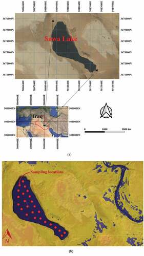Figure 1. The area of study; (a) Sawa Lake region retrieved by QGIS, and (b) Map of Sawa Lake retrieved from Landsat 8 OLI/TIRS Level-2 Data Products (WRS path/row: 168/038; acquired on 3 June 2017), showing the locations of samples used in this study