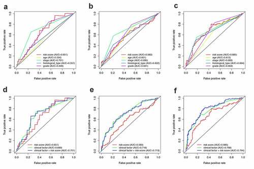 Figure 6. The predictive power of the PRS and other clinical characteristics. (a-c) 1-, 3- and 5-year ROC of PRS and the other clinical characteristics. (d-e) 1-, 3- and 5-year ROC of the combining of PRS and the existing clinical factors