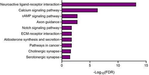 Figure 7. KEGG pathway analysis of DEGs in the hippocampi. The bar graphs illustrate the top 10 enriched KEGG pathways.