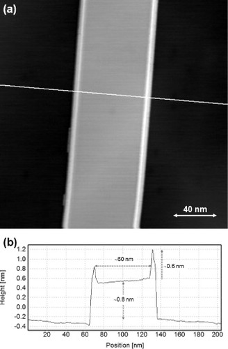 Figure 8 (a) An STM height image of a carbon nanobelt formed on a graphite basal plane of a polycrystalline C-doped Ni sheet, measured with a Pt–Ir tip (Vs=0.79 V, It=0.1 nA). (b) Cross-sectional profile along the white line in panel (a). The height of the nanobelt (∼0.8 nm) corresponds to a height of graphene bilayer.
