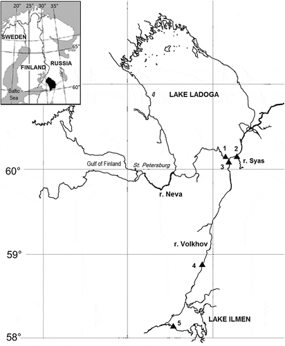 Fig. 1. Map of Lake Ladoga and Lake Ilmen (north-western Russia) and the location of sampling points. Additional geographic information is provided in Table 1.