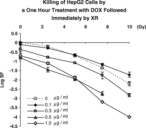 Figure 3.  Killing of HepG2 cells by graded doses of ionizing radiation delivered immediately after a one hour pre-treatment with DOX at the concentrations shown.