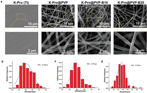 Figure 1. Characterisation of electrospun borneol/PVP antibacterial coating. (a) SEM photo of K-Pro, K-Pro@PVP, K-Pro@PVP-B10, and K-Pro@PVP-B20; the diameter of the nanofiber on the surface of (b) K-Pro@PVP, (c)K-Pro@PVP-B10, and (d) K-Pro@PVP-B20.