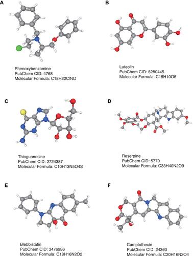 Figure 7 Three-dimensional structure of six candidate small molecule agents in nasopharyngeal carcinoma (NPC). (A) phenoxybenzamine; (B) luteolin; (C) thioguanosine; (D) reserpine; (E) blebbistatin; and (F) camptothecin.