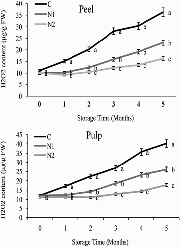 Figure 3. Effect of nitric oxide (NO) on the H2O2 content of the peel and pulp of Washington navel orange (C. sinensis) fruit during storage at 3°C. Means that are followed by different letters at each assessment time are significantly different at P < .05 (Duncan’s multiple range test). Vertical bars represent the standard deviation of the mean. C: control fruit; N1: 0.25 mM sodium nitroprusside (SNP); N2: 0.5 mM SNP.