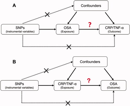 Figure 3. The design of Mendelian Randomization (MR) analysis to assess causality between OSA and inflammation proteins. (A) SNPs independently associated with OSA from GWAS summary statistic were used as instrumental variables to explore the causal effect of OSA on CRP or TNF-α. (B) SNPs independently associated with CRP or TNF-α from GWAS summary statistic were used as instrumental variables to explore the causal effect of CRP or TNF-α on OSA respectively. In addition to the association assumption, another two assumptions of MR include (1) SNPs are not associated with confounders between exposure and outcome, and (2) the effect from SNPs to outcome was exclusively through exposure.