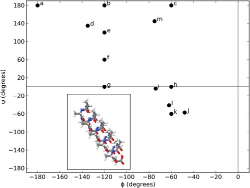 Figure 2. Ramachandran plot of the φ and ψ dihedral angles for the 13 diamide and 13 20 L-Ala peptide structures. The scatter points are labelled by the alphabetical (second) character naming each structure (see Table 1). Inset is the structure of peptide 2k [φ = −60°, ψ = −60°].