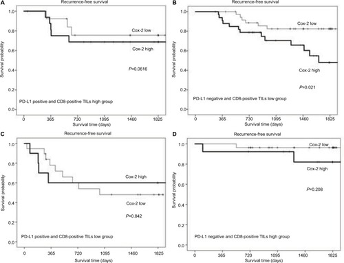 Figure 5 Comparisons of recurrence-free survival rates between patients with high Cox-2 expression versus low Cox-2 expression, according to tumor microenvironment status: type I (A), type II (B), type III (C), and type IV (D). P=0.616, 0.021, 0.842, and 0.208, respectively.