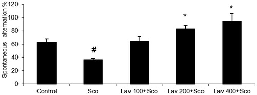 Figure 1. Effects of the scopolamine alone treatment and Lavandula officinalis extract pretreatment in different doses, on spontaneous alternation percentage in Y maze. Values are means ± SEM (n = 10 animals per group), #p ≤ 0.001 in compared with the control group. For post hoc analysis: Lav 200 + Sco and Lav400 + Sco versus Sco: *p ≤ 0.05. Sco: scopolamine; Lav: L. officinalis. Effects of the scopolamine alone treatment and L. officinalis extract pretreatment in different doses, on spontaneous alternation percentage in Y maze.