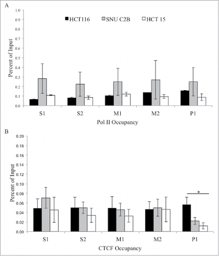 Figure 4. ChIP analysis of Pol II and CTCF at the MLH1 CpG island and shore. Chromatin immunoprecipitation was performed in HCT 116 (GG), SNU-C2B (GA), and HCT-15 (AA) cell lines to compare Pol II and CTCF binding among genotypes of SNP rs1800734. Three biological replicates of each cell line were run in triplicate and averaged after ChIP-qPCR at five regions of the MLH1 CpG island and shore: S1, S2, M1, M2, and P1. (A) Pol II and (B) CTCF were assessed. Error bars represent standard deviation. *P < 0.05 by independent samples t-test.