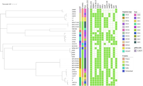 Figure 2. Phylogenetic analysis of OXA-232-producing K. pneumoniae strains. The phylogenetic tree was constructed with core genome sequences of 8 strains collected in this study (ST15 and ST147), and other reference strains retrieved from the GenBank database. The filled block of colour indicates the presence of plasmids and the antimicrobial resistance genes.