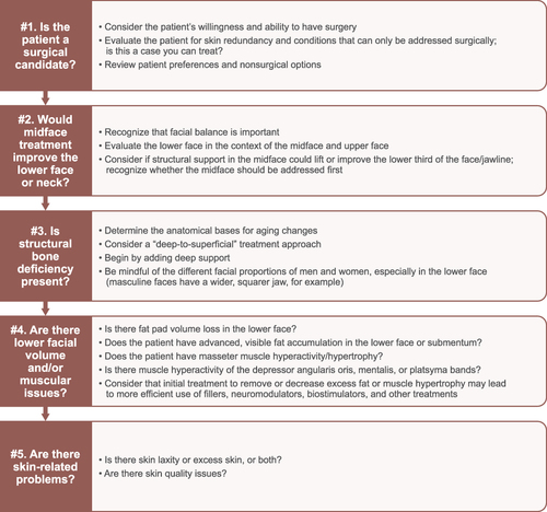Figure 2 Considerations for initial clinical evaluation of patients for aesthetic treatment of the lower face and neck.