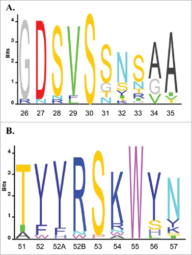 Figure 3. VH6 family sequence alignment. All VH6 antibody sequences were aligned using IMGT V-QUEST and sequence logos were plotted using Matlab for CDR H1 (A) and CDR H2 (B). Residues are numbered using Kabat standard numbering and CDRs are defined using IMGT definitions.Citation41