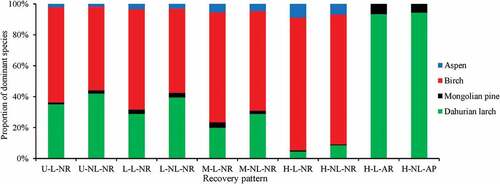 Figure 12. The proportion of dominant species in each recovery pattern by forest inventory data in 2018.