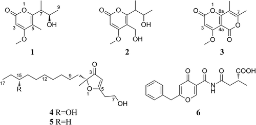 Figure 2. Structures of new secondary metabolites (1, 3, 4, and 6) and selected relevant analogues (2 and 5).