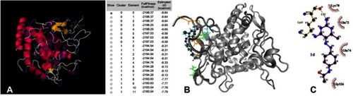Figure 7 (A) Full fitness (kcal/mol) and estimated ΔG (kcal/mol); (B) 3D secondary structure of tyrosinase that shows the position of 1d at the protein. The important interacting residues are shown by colored lines and 1d by CPK drawing method; (C) a LigPlot diagram of the interaction between tyrosinase and 1d. Hydrophobic interaction plays a major role in the binding.