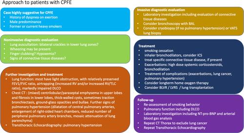 Figure 2 Diagnosis and management of patients with interstitial lung diseases in CPFE.