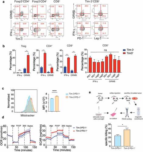 Figure 2. Tim-3+ cells were highly activated but not exhausted T cells